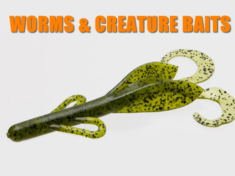 Soft Plastic Worms And Creature Baits