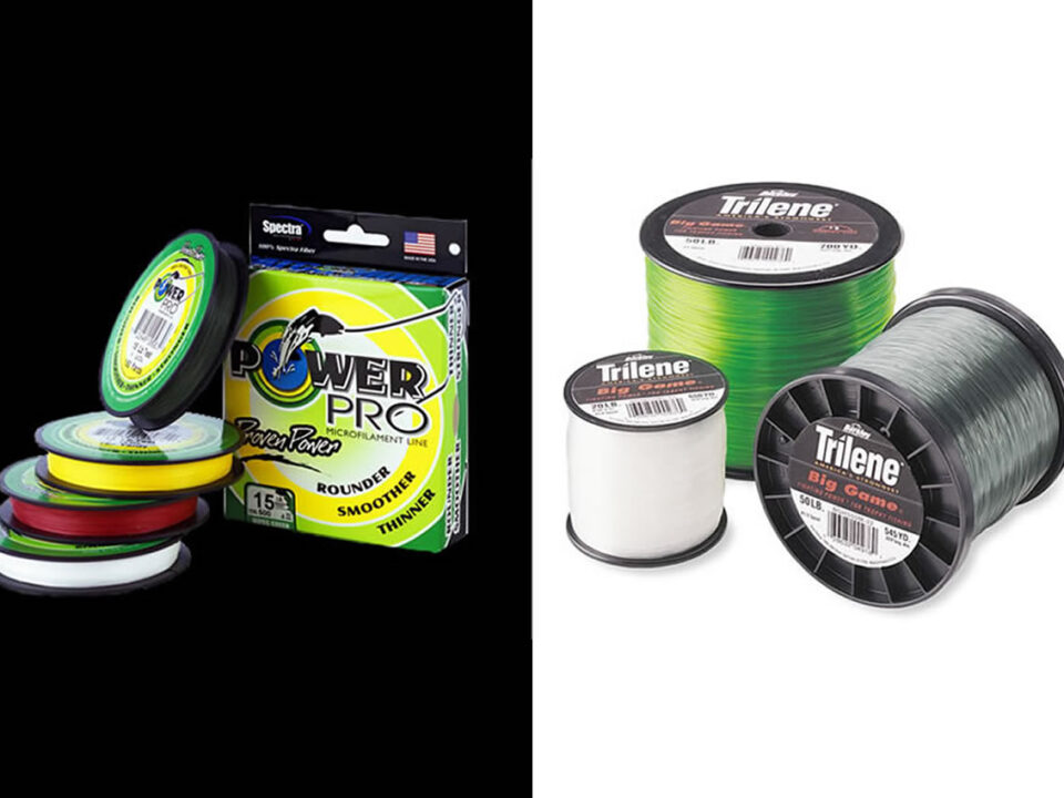 Braided vs Monofilament Fishing Line