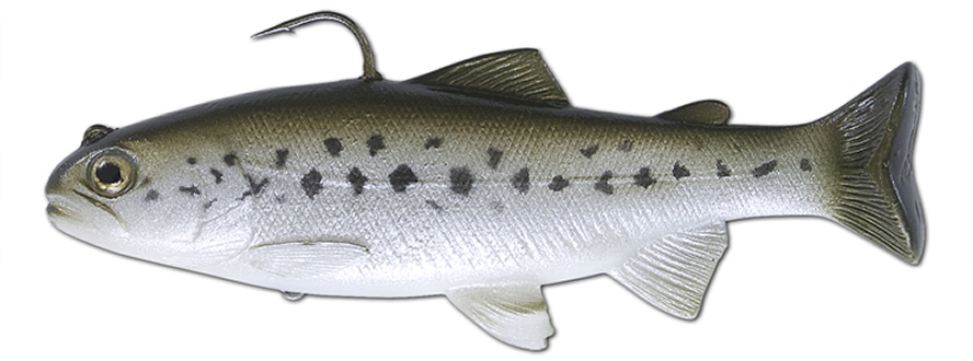 Big Swimbait