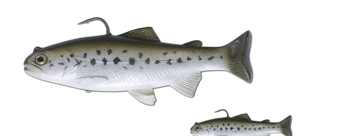Big Lures vs Small Lures