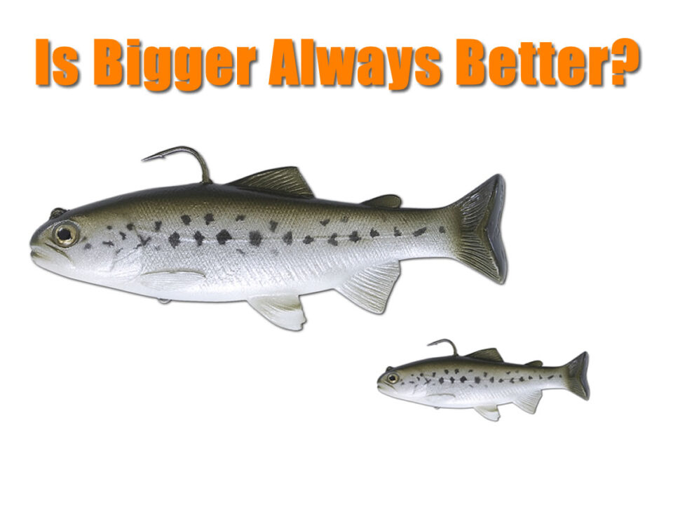Big Lures vs Small Lures