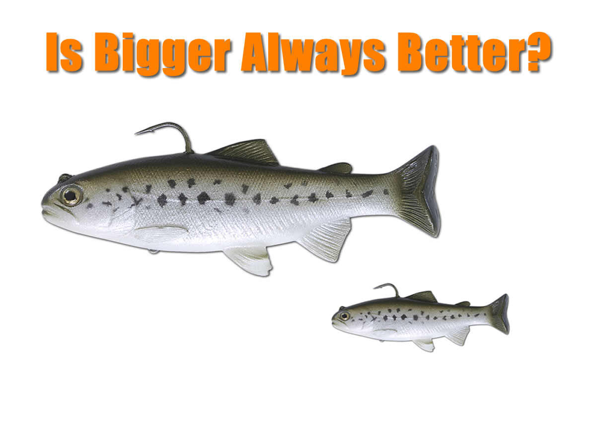 Big Lures vs Small Lures