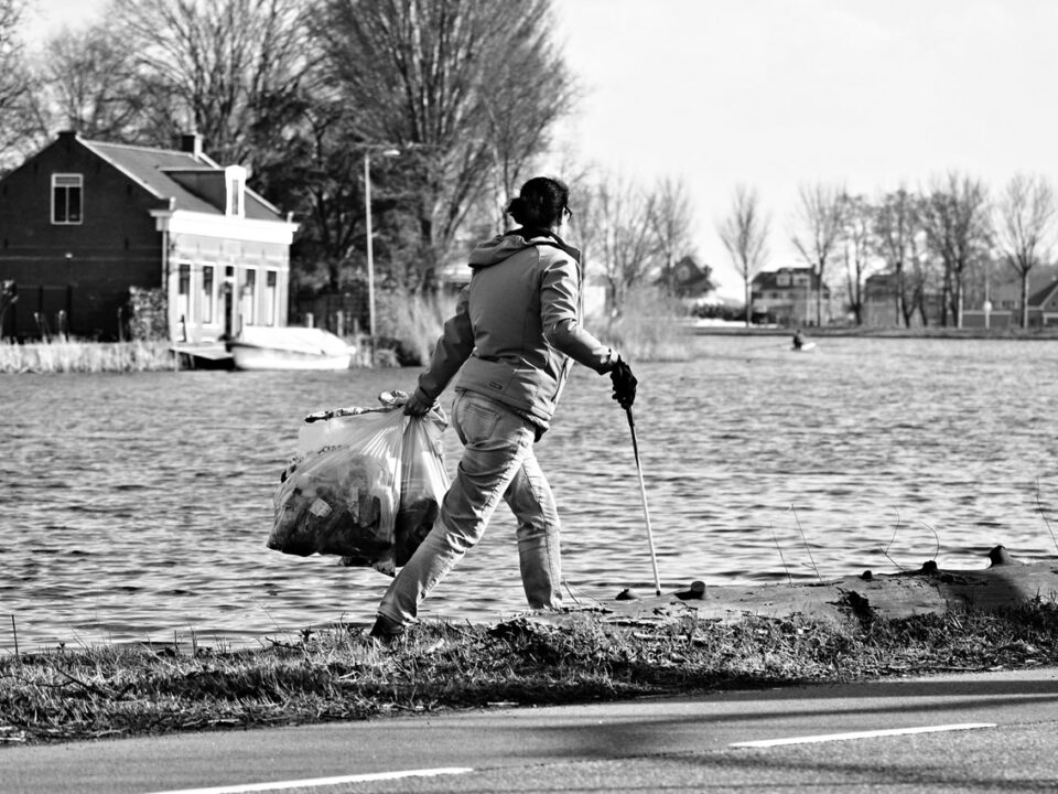 Lake Cleanup