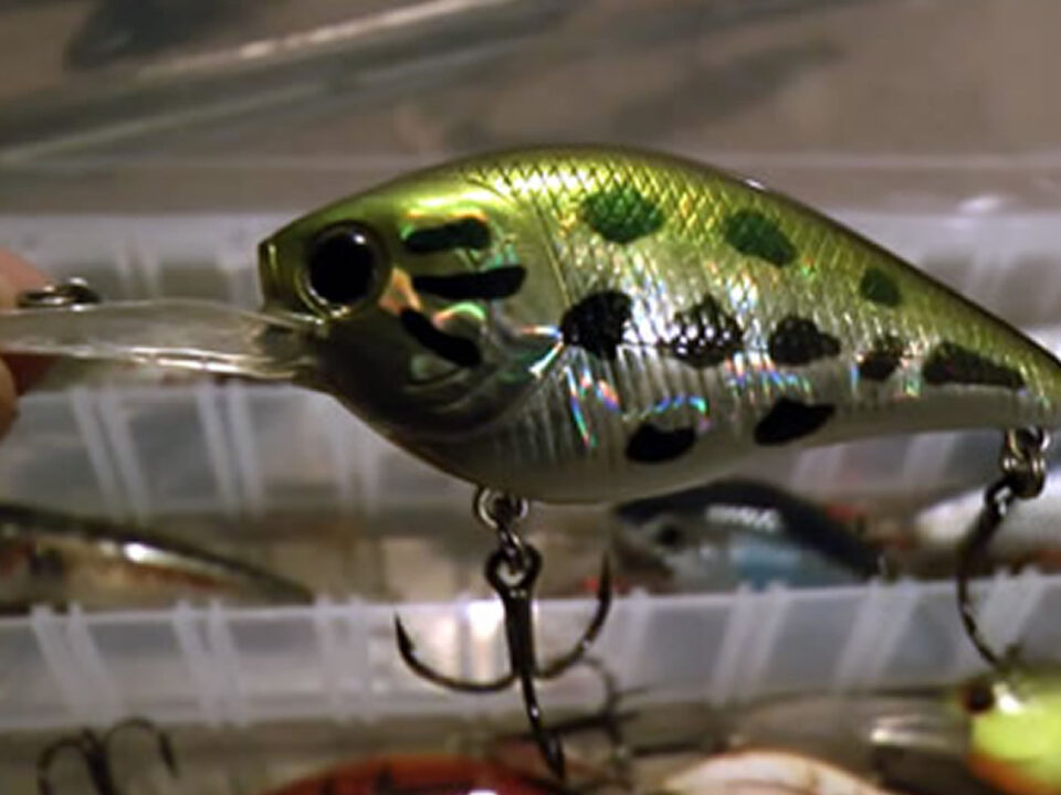 Crankbait Fishing Lures