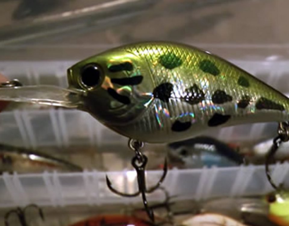 Crankbait Fishing Lures