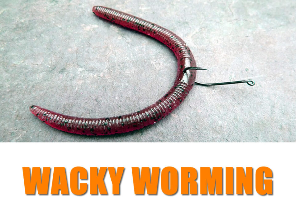 Wacky Worming