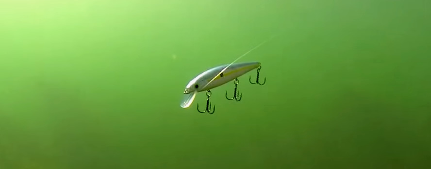 The Complete Guide to Jerkbait Fishing - Bass Fishing Videos and