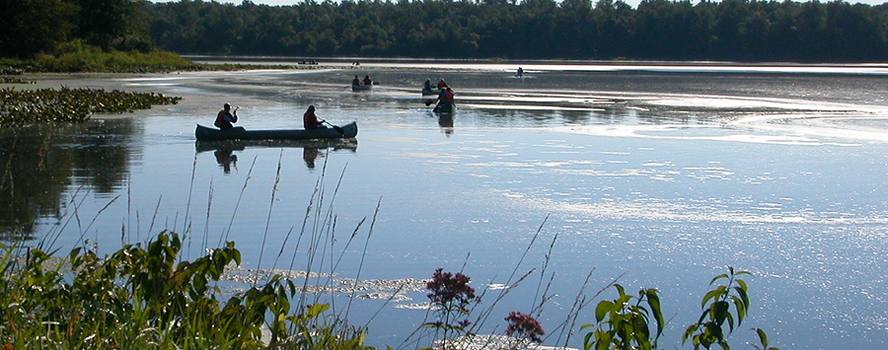 On The Lake