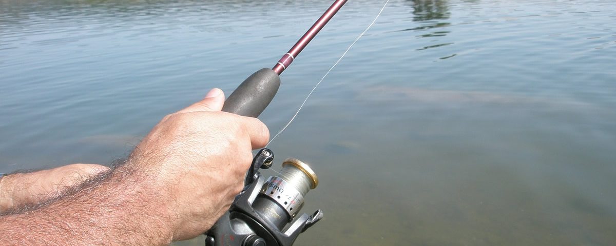 What’s Your Lure Doing