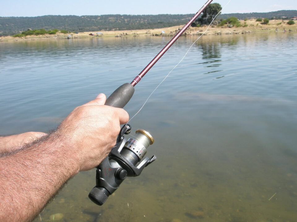 What’s Your Lure Doing