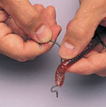 Eagle Claw R Bend Hook