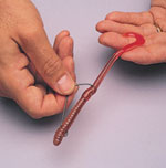 Eagle Claw R Bend Hook