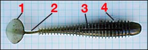 Swing Impact