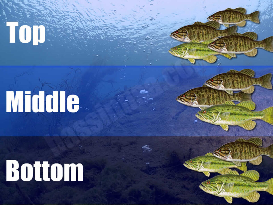Bass Feeding Zones