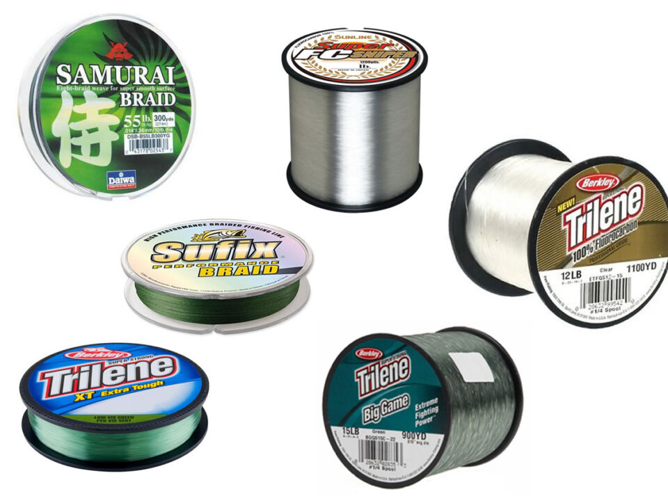 Fishing Line Basics