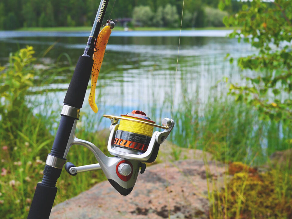 Beginner Rod Selection