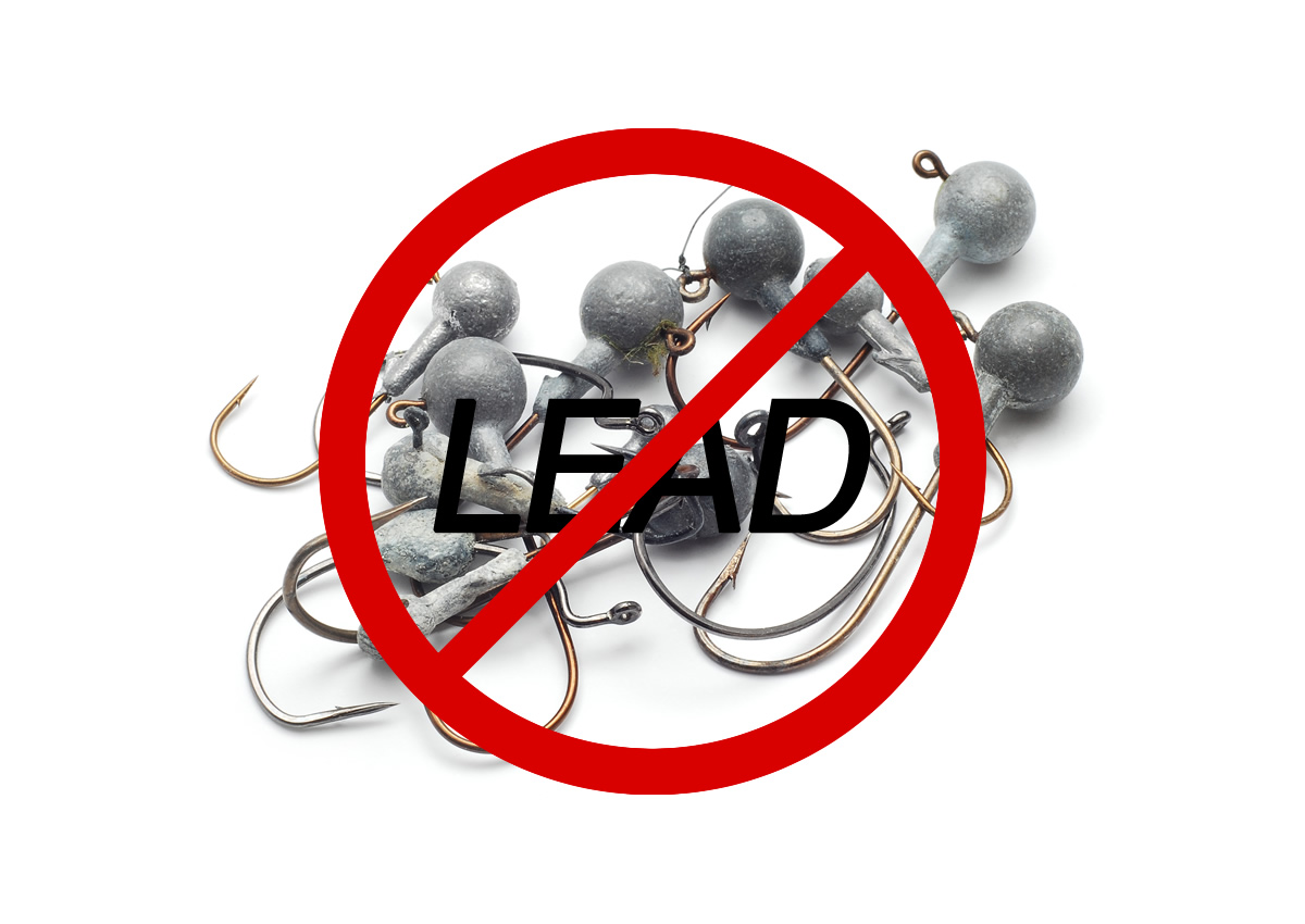 To Lead or Not to Lead Bass Fishing Videos and Tips BASSIN' USA