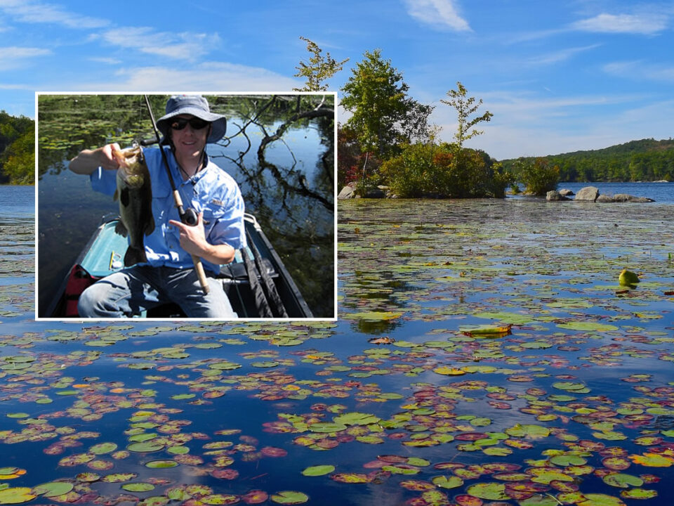 Swamp Fishing For Bass