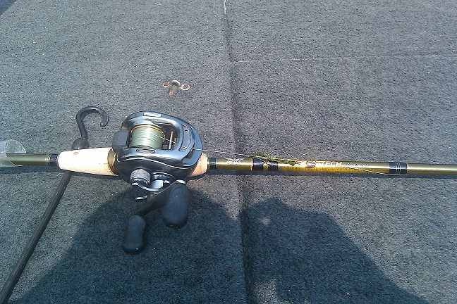 fenwick fishing rod