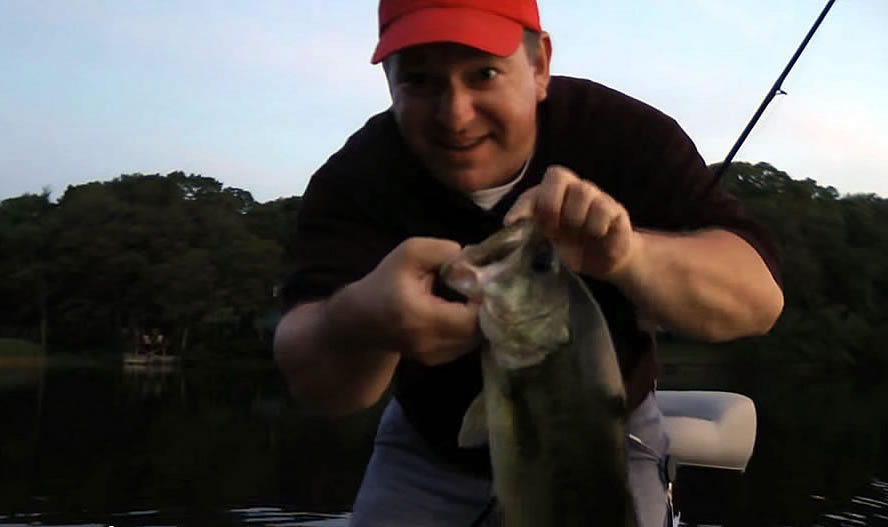 Post Spawn Bass