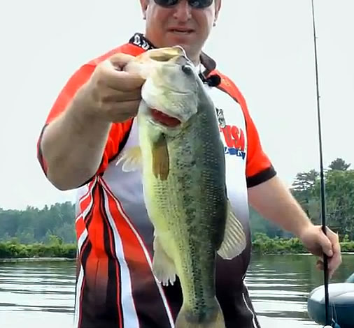 Post Spawn Bass