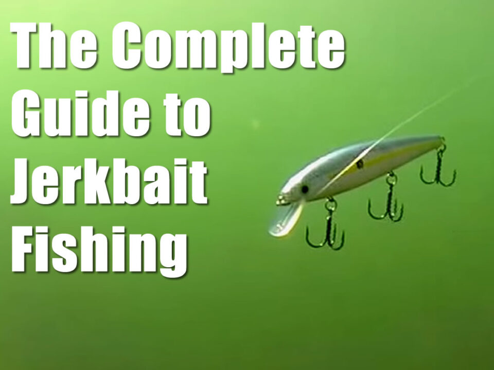 The Complete Guide to Jerkbait Fishing