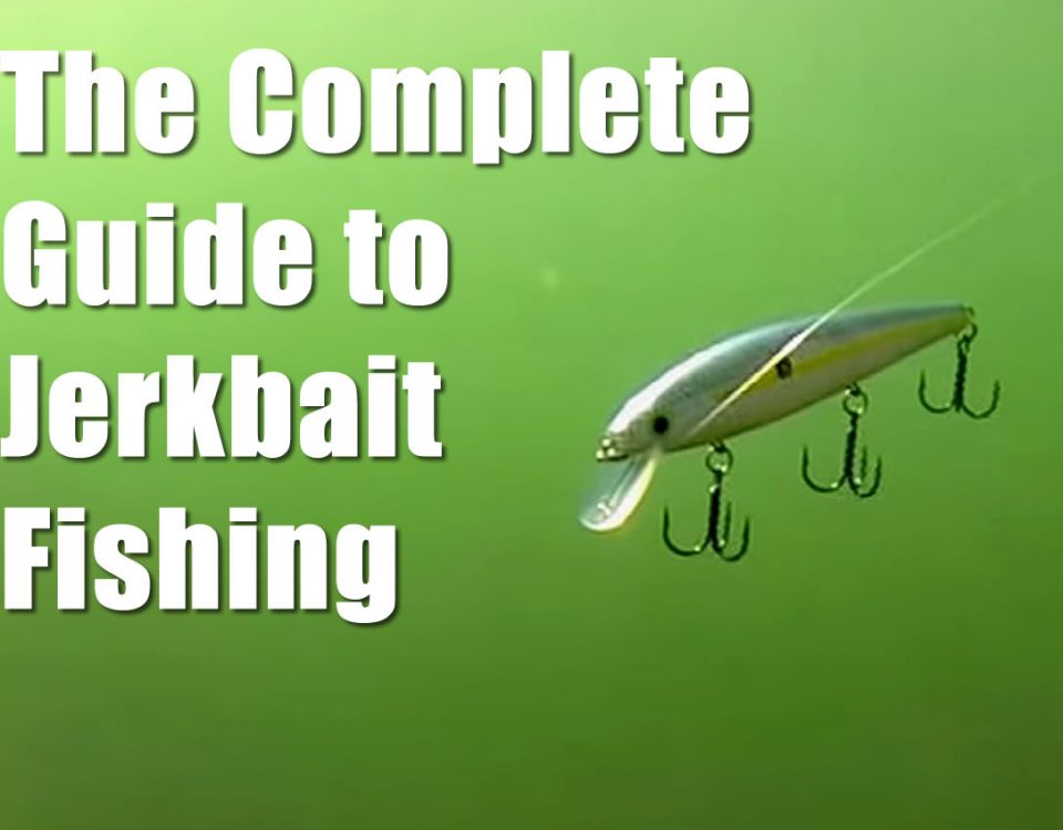 The Complete Guide to Jerkbait Fishing