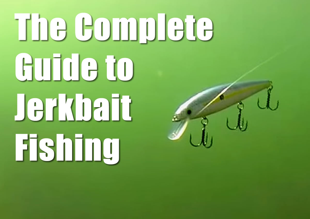 The Complete Guide to Jerkbait Fishing - Bass Fishing Videos and Tips