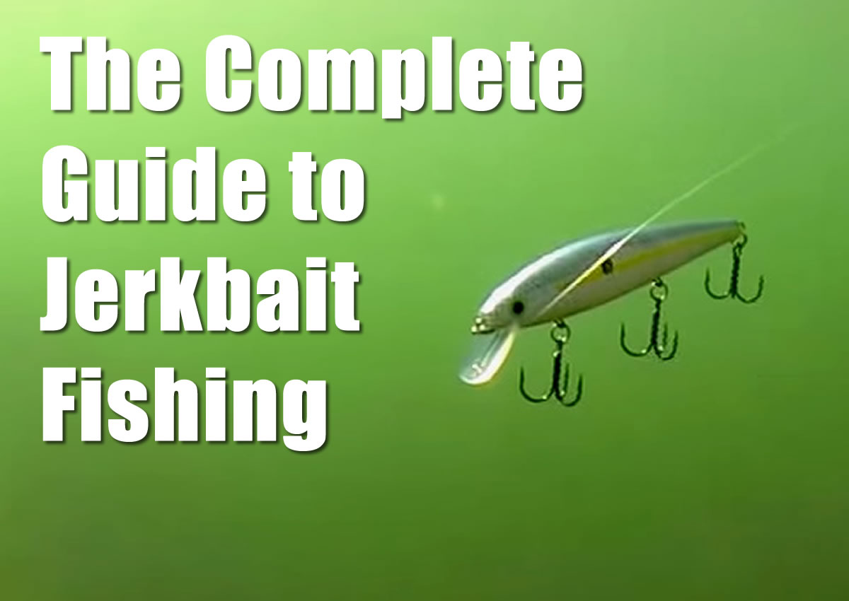 The Complete Guide to Jerkbait Fishing - Bass Fishing Videos and