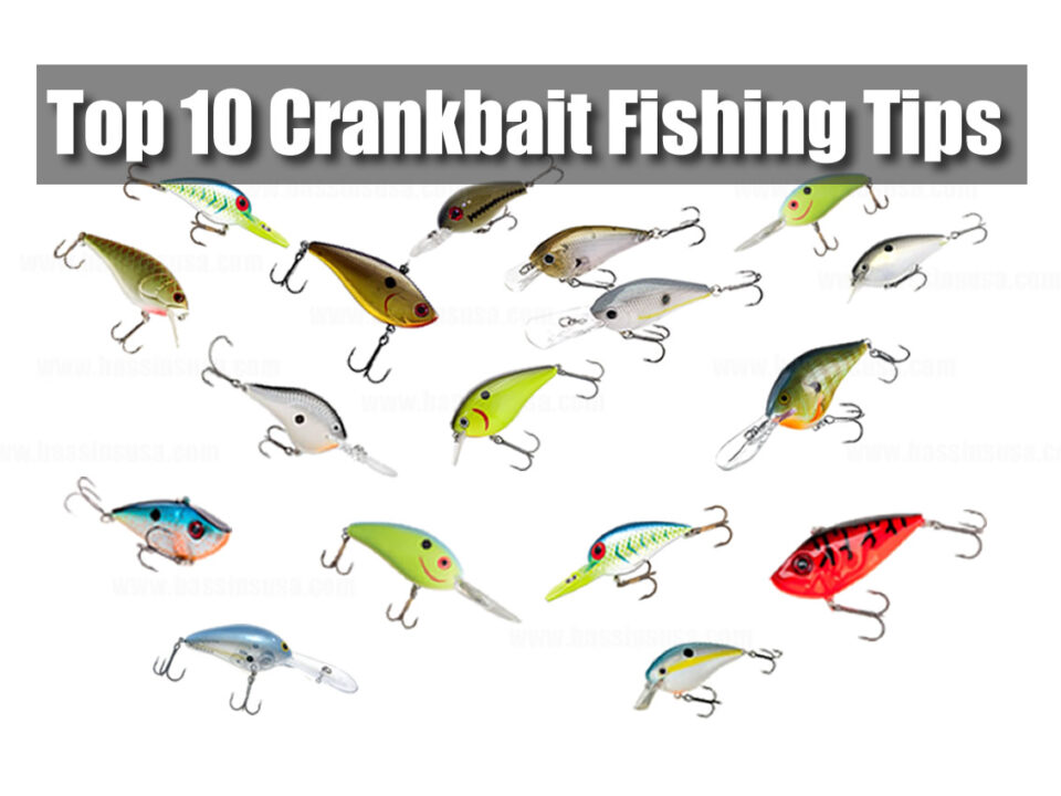 Crankbait Fishing TIps