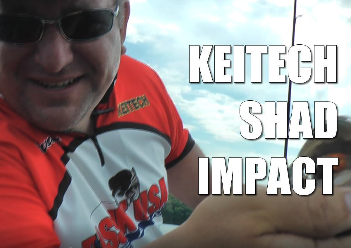Keitech Shad Impact