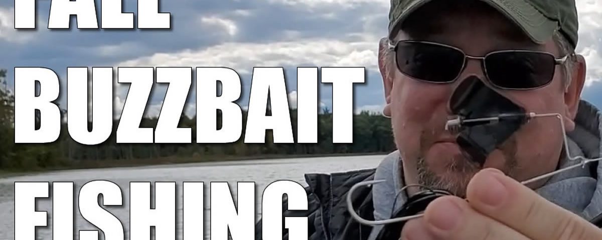 Fall Buzzbait Bass Fishing