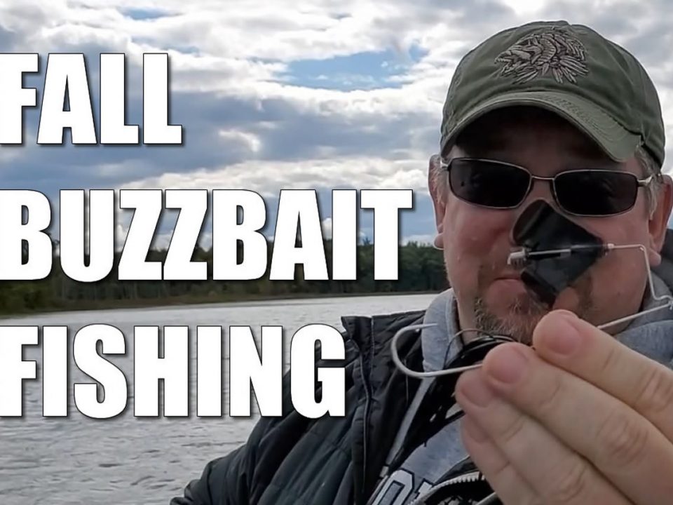 Fall Buzzbait Bass Fishing