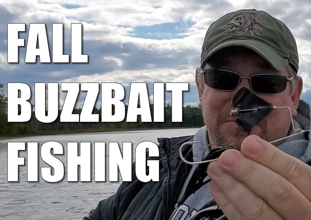 Fall Buzzbait Fishing [VIDEO] Bass Fishing Videos and Tips BASSIN' USA