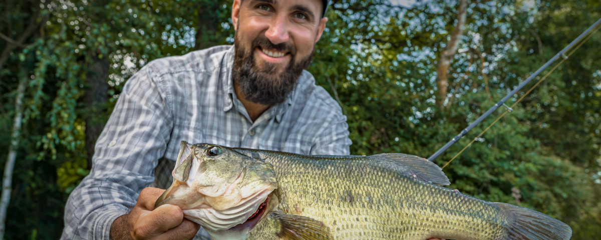 Damiki Rig Bass Fishing