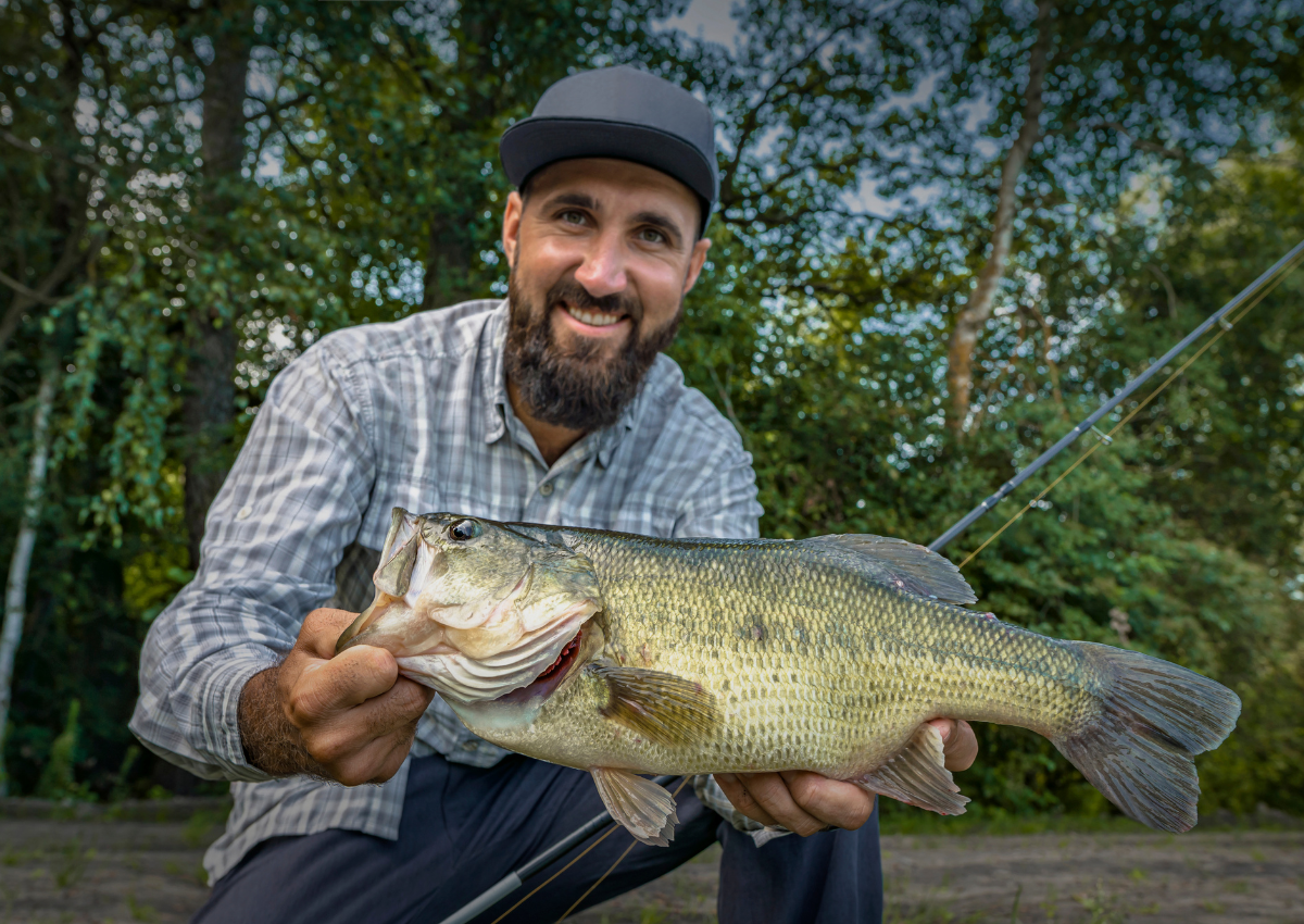Damiki Rig Bass Fishing