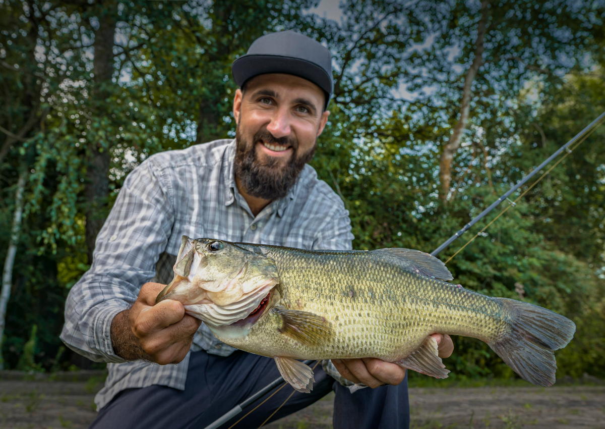 Topwater Tips For Summer Bass  The Ultimate Bass Fishing Resource