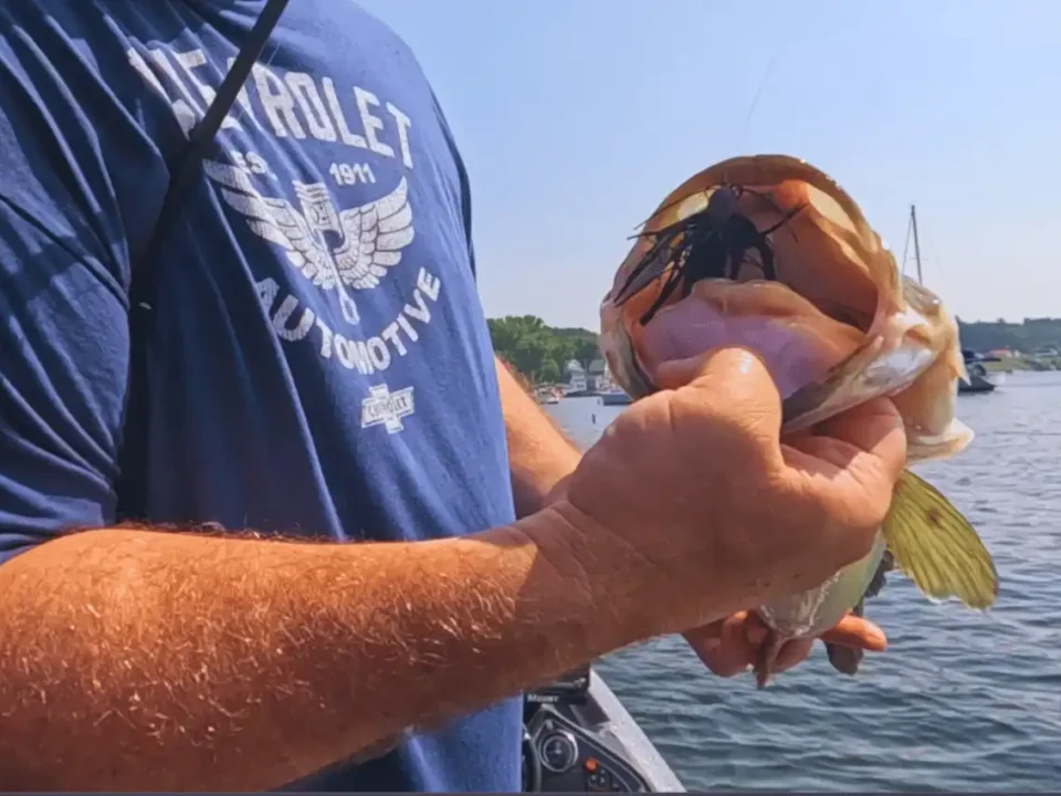 4.54 lb largemouth bass caught skipping docks with Keitech Model 1 Jig