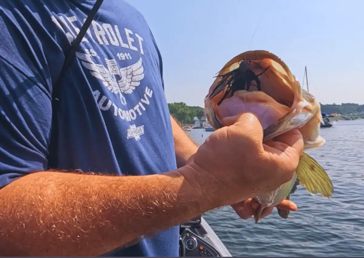 4.54 lb largemouth bass caught skipping docks with Keitech Model 1 Jig