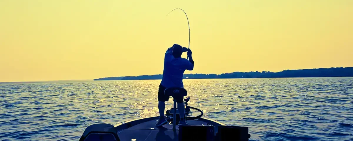 swimbait fishing for smallmouth bass cast to catch