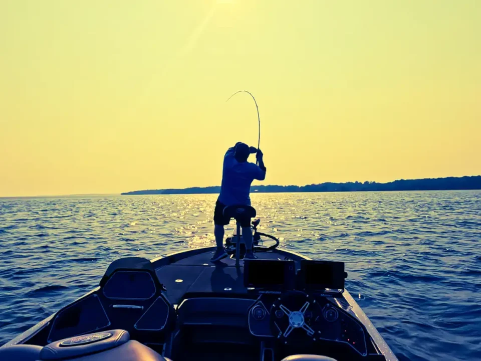 swimbait fishing for smallmouth bass cast to catch