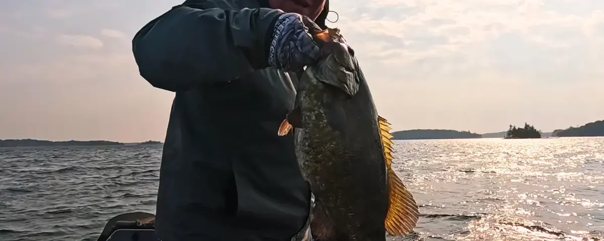 pre spawn smallmouth fishing ned rig cast to catch
