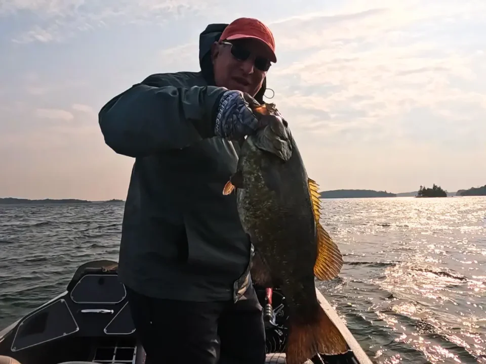 pre spawn smallmouth fishing ned rig cast to catch