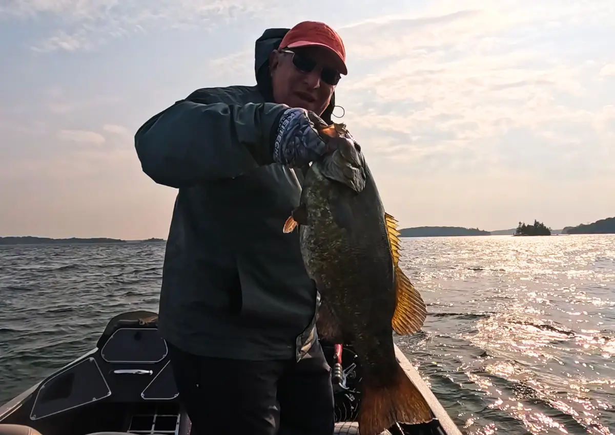 pre spawn smallmouth fishing ned rig cast to catch