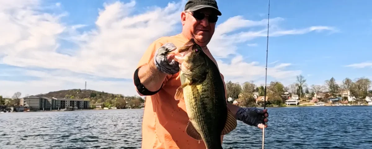 Making another cast after a missed bass strike