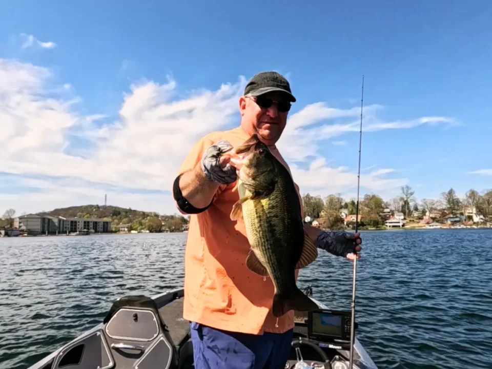 Making another cast after a missed bass strike