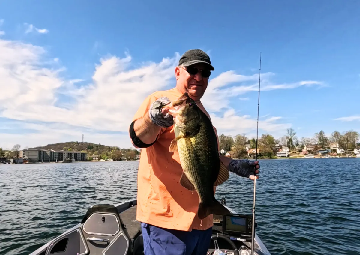 Making another cast after a missed bass strike