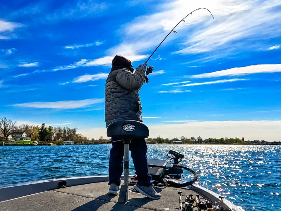 Smallmouth bass followed by other bass after being hooked