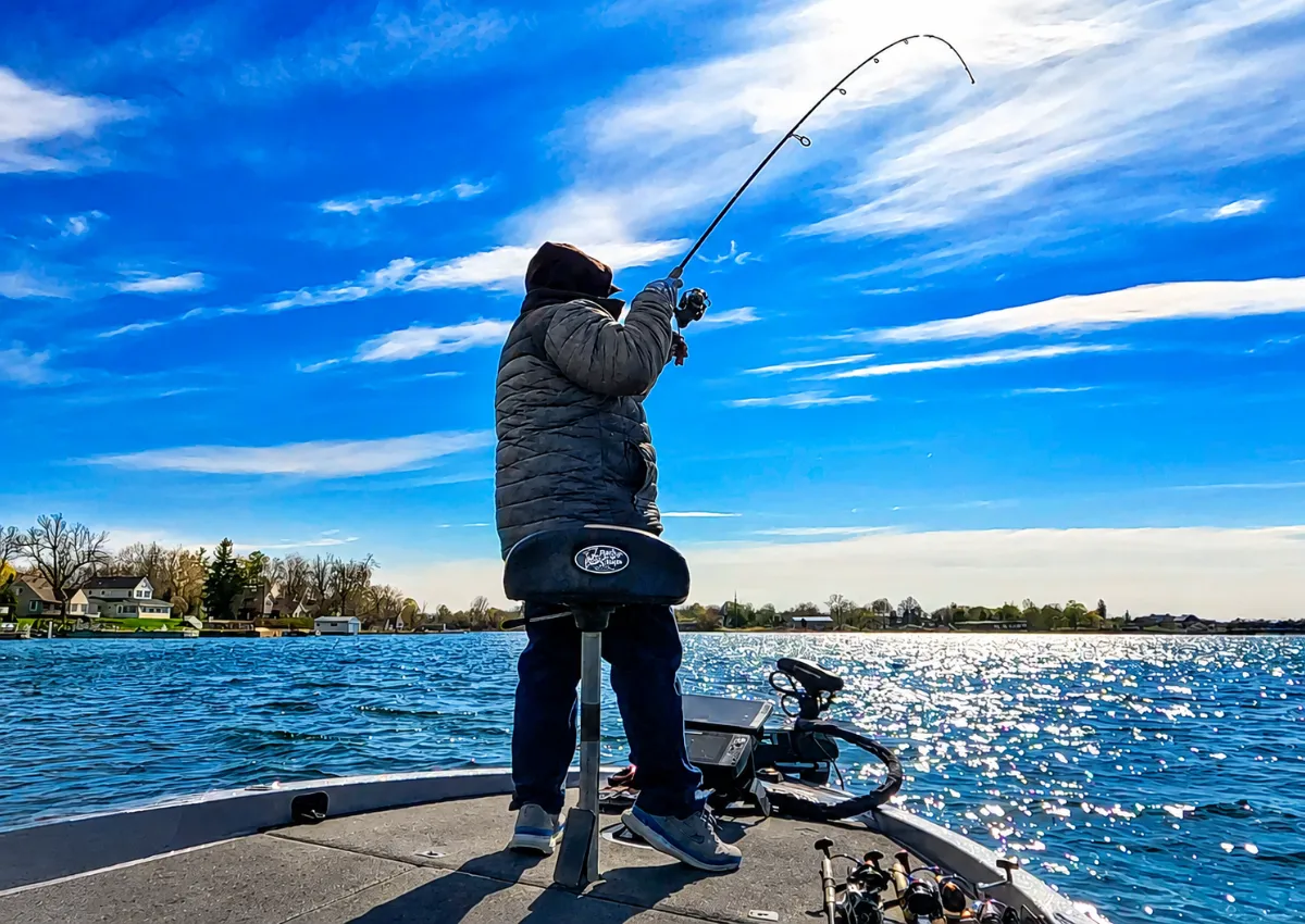 Smallmouth bass followed by other bass after being hooked