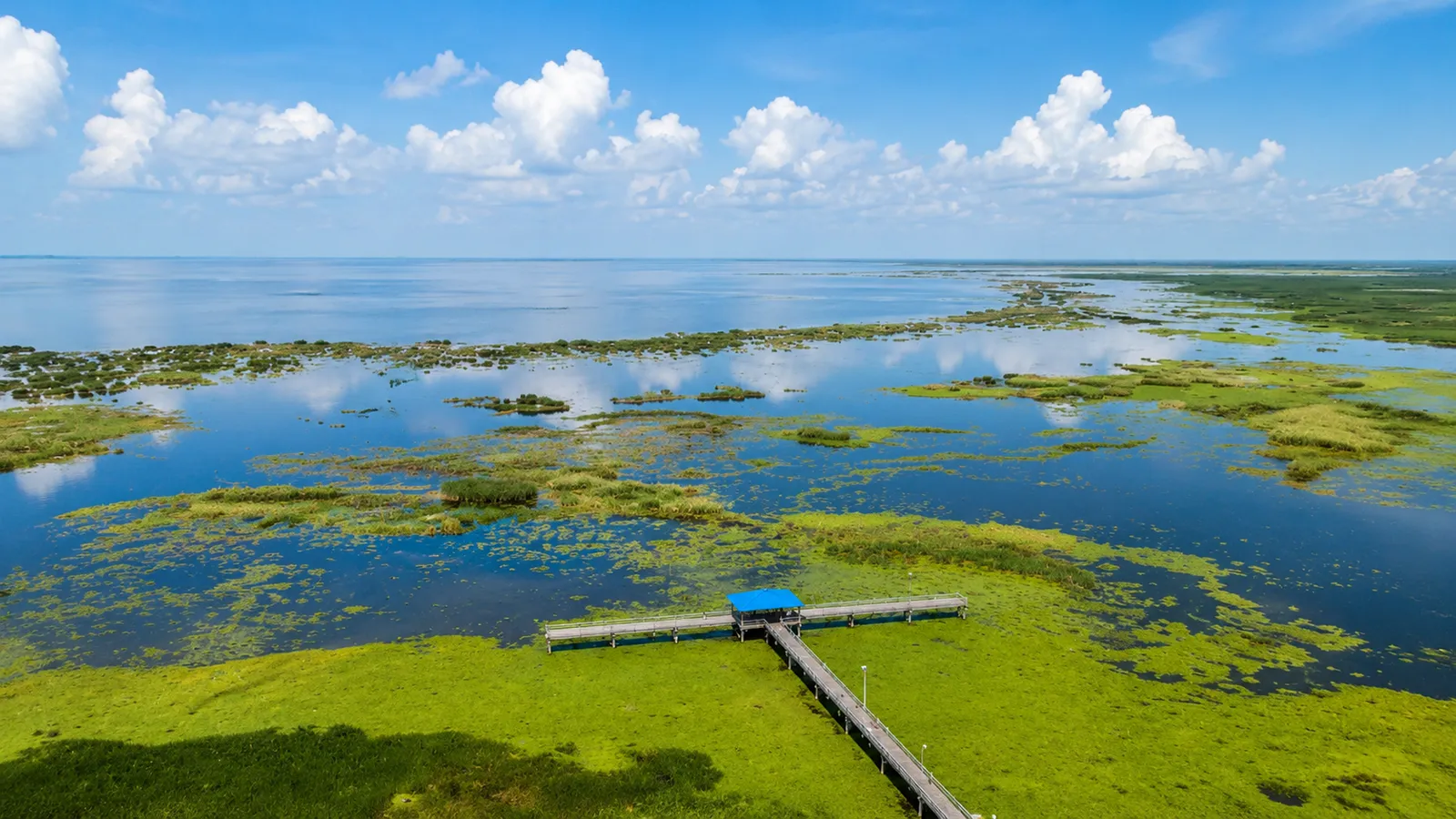 Aerial daytime view of Lake Okeechobee, Florida, showing expansive shallow water, marsh habitat, and vegetation typical of this famous largemouth bass fishery